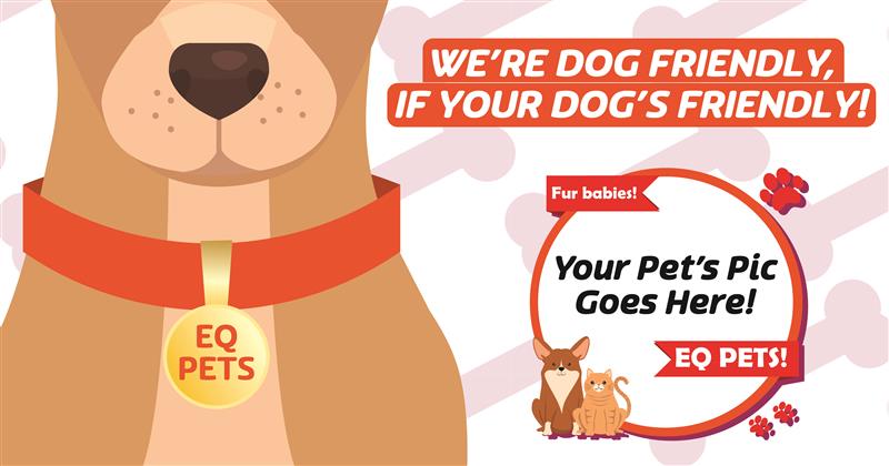 EQ Pets, we are dog friendly if your dog is friendly